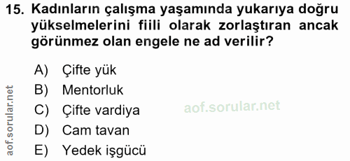 15. soru: Kadınların çalışma yaşamında yukarıya doğru yükselmelerini fiili olarak zorlaştıran ancak görünmez olan engele ne ad…