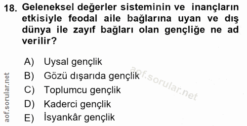 18. soru: Geleneksel değerler sisteminin ve inançların etkisiyle feodal aile bağlarına uyan ve dış dünya ile zayıf bağları olan…