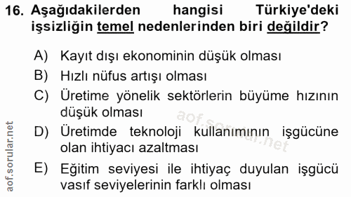 16. soru: Aşağıdakilerden hangisi Türkiye'deki işsizliğin temel nedenlerinden biri değildir? A) Kayıt dışı ekonominin düşük olm…