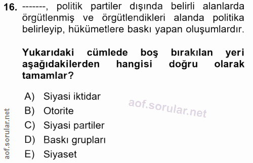 16. soru: -- politik partiler dışında belirli alanlarda örgütlenmiş ve örgütlendikleri alanda politika belirleyip, hükümetlere…