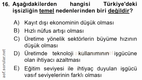 16. soru: Aşağıdakilerden hangisi Türkiye'deki işsizliğin temel nedenlerinden biri değildir? A) Kayıt dışı ekonominin düşük olm…