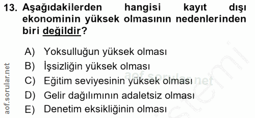 13. soru: Aşağıdakilerden hangisi kayıt dışı ekonominin yüksek olmasının nedenlerinden biri değildir? A) Yoksulluğun yüksek olm…