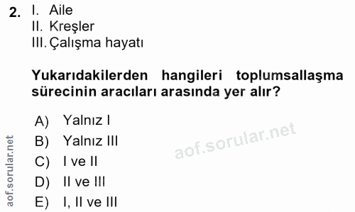 2. soru: I. Aile II. Kreşler III. Çalışma hayatı Yukarıdakilerden hangileri toplumsallaşma sürecinin aracıları arasında yer al…