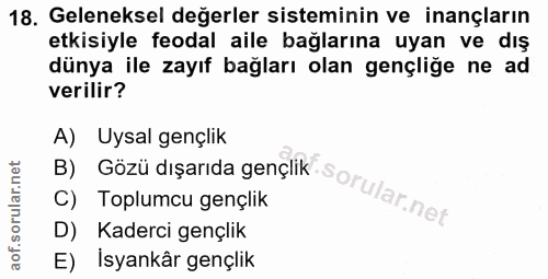 18. soru: Geleneksel değerler sisteminin ve inançların etkisiyle feodal aile bağlarına uyan ve dış dünya ile zayıf bağları olan…