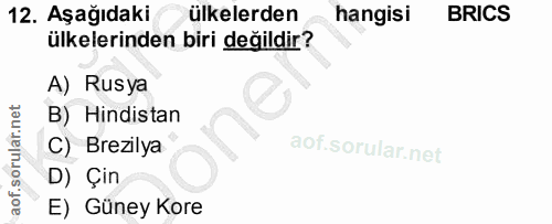 12. soru: Aşağıdaki ülkelerden hangisi BRICS ülkelerinden biri değildir? A) Rusya B) Hindistan C) Brezilya D) Çin E) Güney Kore