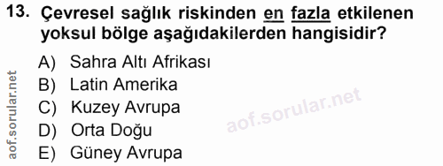 13. soru: Çevresel sağlık riskinden en fazla etkilenen yoksul bölge aşağıdakilerden hangisidir? A) Sahra Altı Afrikası B) Latin…
