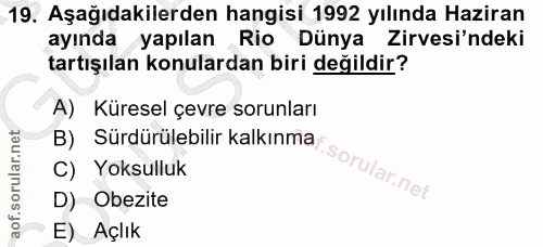 19. soru: Aşağıdakilerden hangisi 1992 yılında Haziran ayında yapılan Rio Dünya Zirvesi'ndeki tartışılan konulardan biri değild…