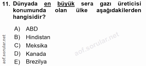 11. soru: Dünyada en büyük sera gazı üreticisi konumunda olan ülke aşağıdakilerden hangisidir? A) ABD B) Hindistan C) Meksika D…
