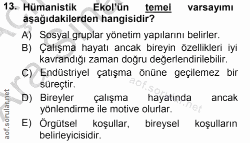 13. soru: Hümanistik Ekol'ün temel varsayımı aşağıdakilerden hangisidir? A) Sosyal gruplar yönetim yapılarını belirler. B) Çalı…