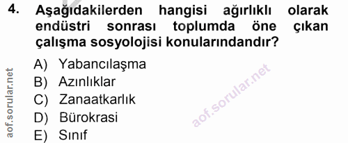 4. soru: Aşağıdakilerden hangisi ağırlıklı olarak endüstri sonrası toplumda öne çıkan çalışma sosyolojisi konularındandır? A)…