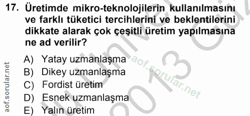 17. soru: Üretimde mikro-teknolojilerin kullanılmasını ve farklı tüketici tercihlerini ve beklentilerini dikkate alarak çok çeş…