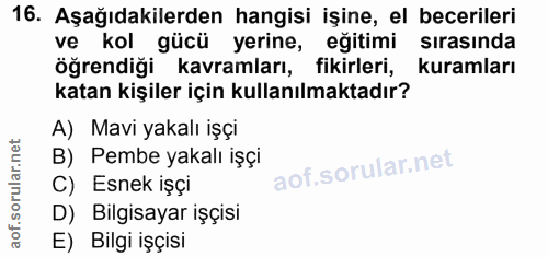 16. soru: Aşağıdakilerden hangisi işine, el becerileri ve kol gücü yerine, eğitimi sirasinda öğrendiği kavramları, fikirleri, k…
