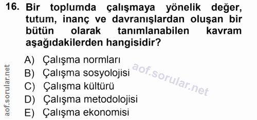 16. soru: Bir toplumda çalışmaya yönelik değer, tutum, inanç ve davranışlardan oluşan bir bütün olarak tanımlanabilen kavram aş…