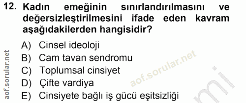 12. soru: Kadın emeğinin sinirlandirilmasını ve değersizleştirilmesini ifade eden kavram aşağıdakilerden hangisidir? A) Cinsel…
