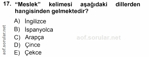 17. soru: "Meslek" kelimesi aşağıdaki dillerden hangisinden gelmektedir? A) Ingilizce .net B) Ispanyolca ar oru C) Arapça D) Çi…
