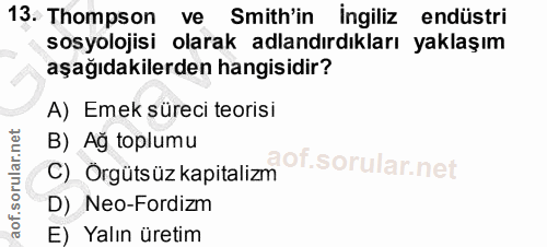13. soru: Thompson ve Smith'in ingiliz endüstri sosyolojisi olarak adlandırdıkları yaklaşım aşağıdakilerden hangisidir? A) Emek…