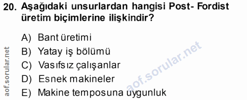 20. soru: Aşağıdaki unsurlardan hangisi Post- Fordist üretim biçimlerine ilişkindir? A) Bant üretimi B) Yatay iş bölümü C) Vası…