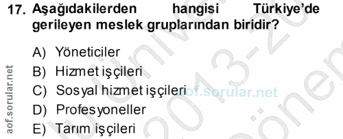 17. soru: Aşağıdakilerden hangisi Türkiye'de gerileyen meslek gruplarından biridir? A) Yöneticiler B) Hizmet işçileri C) Sosyal…