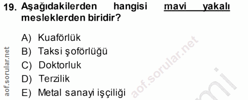 19. soru: Aşağıdakilerden hangisi mavi yakalı mesleklerden biridir? A) Kuaförlük B) Taksi şoförlüğü lar.ne C) Doktorluk D) Terz…