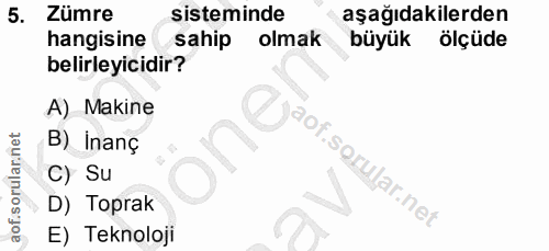 5. soru: Zümre sisteminde aşağıdakilerden hangisine sahip olmak büyük ölçüde belirleyicidir? A) Makine aof.soru B) İnanç C) Su…