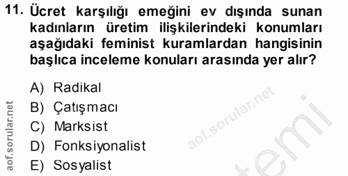 11. soru: Ucret karşılığı emeğini ev dışında sunan kadınların üretim ilişkilerindeki konumları aşağıdaki feminist kuramlardan h…