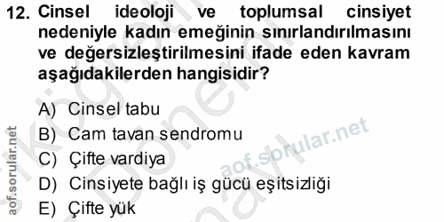 12. soru: Cinsel ideoloji ve toplumsal cinsiyet nedeniyle kadın emeğinin sınırlandırılmasını ve değersizleştirilmesini ifade ed…