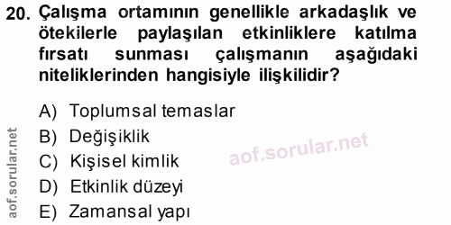 20. soru: Çalışma ortamının genellikle arkadaşlık ve ötekilerle paylaşılan etkinliklere katılma fırsatı sunması çalışmanın aşağ…
