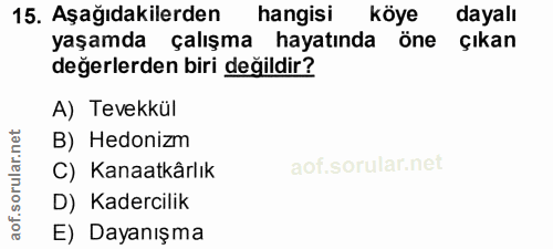 15. soru: Aşağıdakilerden hangisi köye dayalı yaşamda çalışma hayatında Öne çıkan değerlerden biri değildir? A) Tevekkül B) Hed…