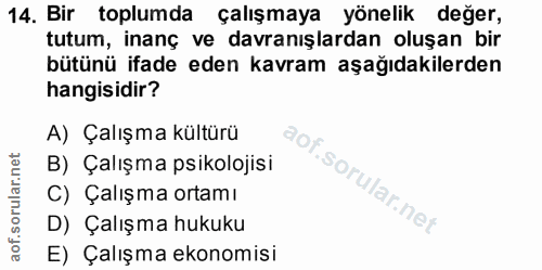 14. soru: Bir toplumda çalışmaya yönelik değer, tutum, inanç ve davranışlardan oluşan bir bütünü ifade eden kavram aşağıdakiler…