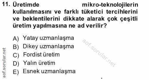 11. soru: Uretimde mikro-teknolojilerin kullanılmasını ve farklı tüketici tercihlerini ve beklentilerini dikkate alarak çok çeş…