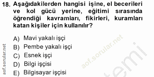 18. soru: Aşağıdakilerden hangisi işine, el becerileri ve kol gücü yerine, eğitimi sırasında öğrendiği kavramları, fikirleri, k…