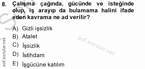 8. soru: Çalışma çağında, gücünde ve isteğinde olup, iş arayıp da bulamama halini ifade eden kavrama ne ad verilir? A) Gizli i…