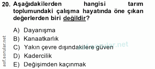 20. soru: Aşağıdakilerden hangisi tarım toplumundaki çalışma hayatında öne çıkan değerlerden biri değildir? A) Dayanışma B) Kan…