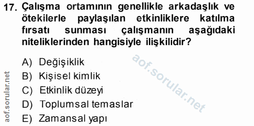 17. soru: Çalışma ortamının genellikle arkadaşlık ve ötekilerle paylaşılan etkinliklere katılma fırsatı sunması çalışmanın aşağ…