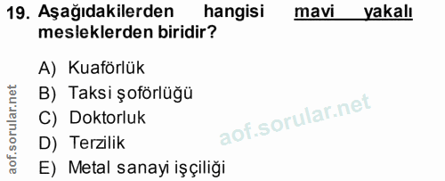 19. soru: Aşağıdakilerden hangisi mavi yakalı mesleklerden biridir? A) Kuaförlük B) Taksi şoförlüğü C) Doktorluk D) Terzilik E)…