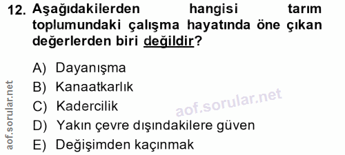 12. soru: Aşağıdakilerden hangisi tarım toplumundaki çalışma hayatında öne çıkan değerlerden biri değildir? A) Dayanışma B) Kan…