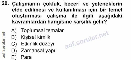 20. soru: Çalışmanın çokluk, beceri ve yeteneklerin elde edilmesi ve kullanılması için bir temel oluşturması çalışma l ile ilgi…