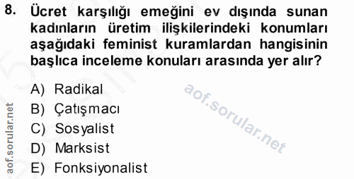 8. soru: Ücret karşılığı emeğini ev dışında sunan kadınların üretim ilişkilerindeki konumları aşağıdaki feminist kuramlardan h…