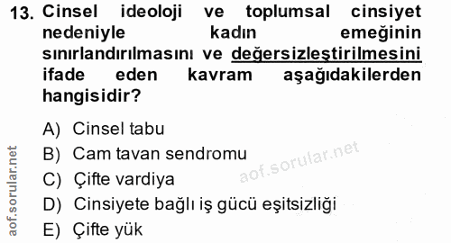 13. soru: Cinsel ideoloji ve toplumsal cinsiyet nedeniyle kadın emeğinin sınırlandırılmasını ve değersizleştirilmesini ifade ed…