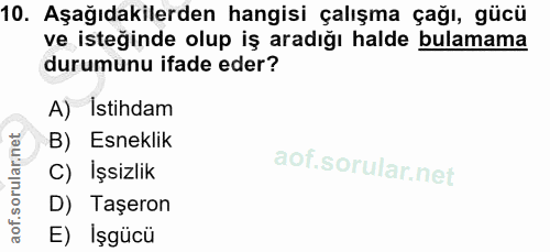 10. soru: Aşağıdakilerden hangisi çalışma çağı, gücü ve isteğinde olup iş aradığı halde bulamama durumunu ifade eder? A) Istihd…