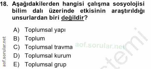 18. soru: Aşağıdakilerden hangisi çalışma sosyolojisi bilim dalı üzerinde etkisinin araştırıldığı unsurlardan biri değildir? A)…