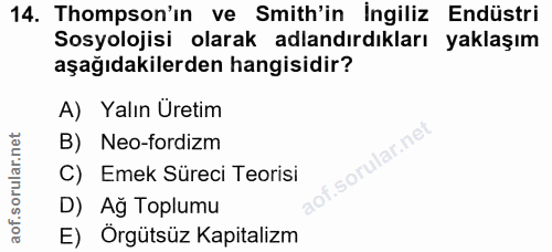 14. soru: Thompson'ın ve Smith'in İngiliz Endüstri Sosyolojisi olarak adlandırdıkları yaklaşım aşağıdakilerden hangisidir? A) Y…