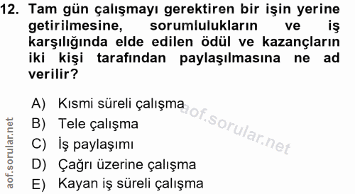 12. soru: Tam gün çalışmayı gerektiren bir işin yerine getirilmesine, sorumlulukların ve iş karşılığında elde edilen ödül ve ka…