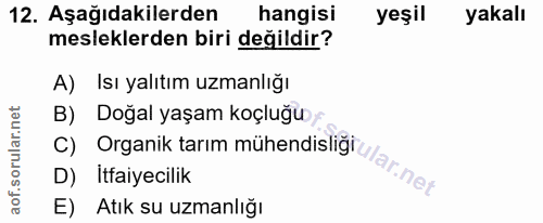 12. soru: Aşağıdakilerden hangisi yeşil yakalı mesleklerden biri değildir? A) Isı yalıtım uzmanlığı B) Doğal yaşam koçluğu C) O…