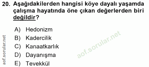 20. soru: Aşağıdakilerden hangisi köye dayalı yaşamda çalışma hayatında öne çıkan değerlerden biri değildir? A) Hedonizm B) Kad…