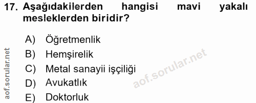 17. soru: Aşağıdakilerden hangisi mavi yakalı mesleklerden biridir? A) Oğretmenlik B) Hemşirelik C) Metal sanayii işçiliği D) A…