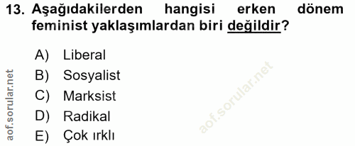 13. soru: Aşağıdakilerden hangisi erken dönem feminist yaklaşımlardan biri değildir? A) Liberal B) Sosyalist C) Marksist D) Rad…