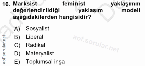 16. soru: Marksist feminist yaklaşımın değerlendirildiği yaklaşım modeli aşağıdakilerden hangisidir? A) Sosyalist B) Liberal C)…
