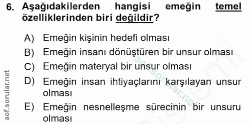 6. soru: Aşağıdakilerden hangisi emeğin temel özelliklerinden biri değildir? A) Emeğin kişinin hedefi olması B) Emeğin insanı…