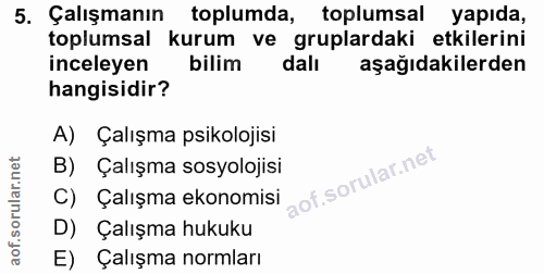 5. soru: Çalışmanın toplumda, toplumsal yapıda, toplumsal kurum ve gruplardaki etkilerini inceleyen bilim dalı aşağıdakilerden…